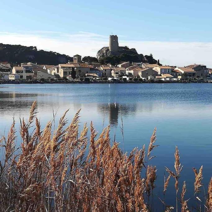 La Maison Du Bonheur F5 Jardin Et Piscine Narbonne Buitenkant foto