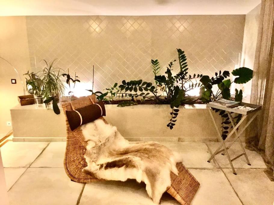 La Maison Du Bonheur F5 Jardin Et Piscine Narbonne Buitenkant foto